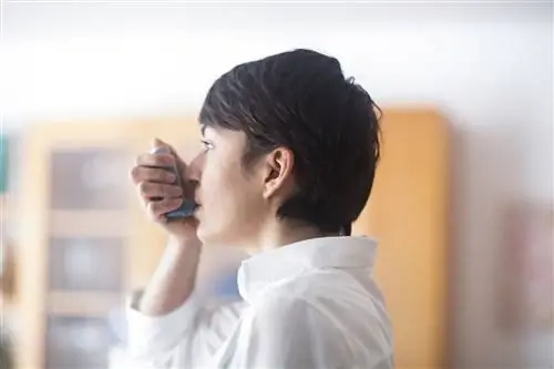 Кислотный рефлюкс и астма: связаны ли они?