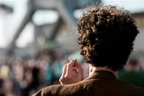 Причины и факторы риска рака легких