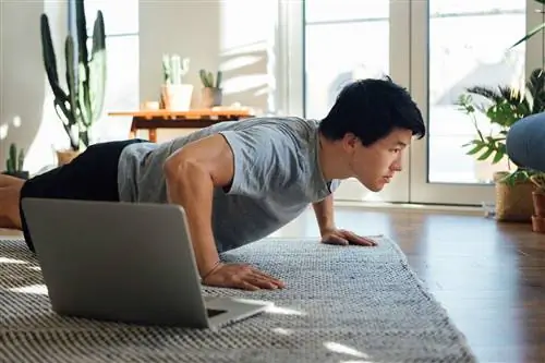 Круговая тренировка: все, что вам нужно знать