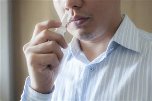 Лучшие лекарства от аллергии