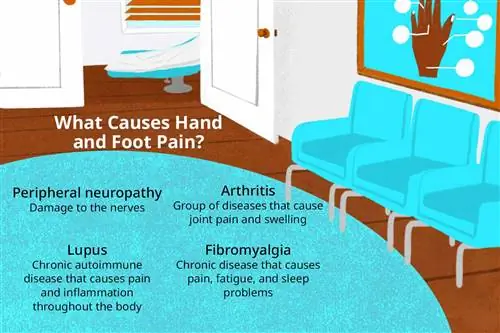Зал ожидания поставщика медицинских услуг с пустыми стульями (Что вызывает боль в руках и ногах?)