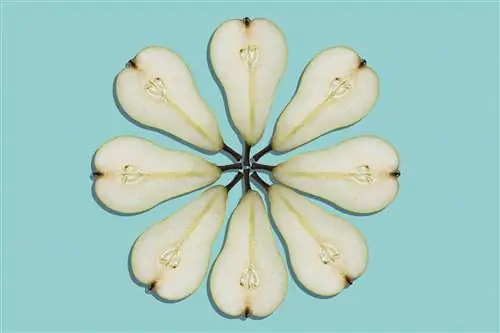 Признаки аллергии на груши