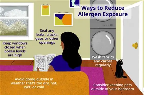 Иллюстрация со способами снижения воздействия аллергена
