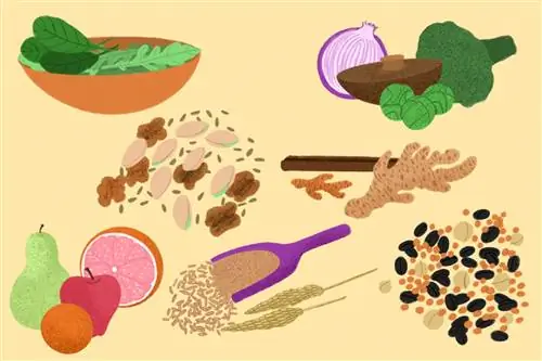 10 продуктов, которые не повысят уровень сахара в крови