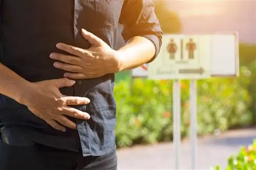 Ректальное кровотечение и воспалительное заболевание кишечника