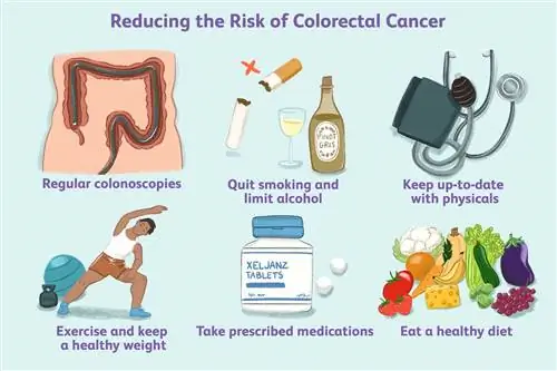 Снижение риска развития колоректального рака - иллюстрация Джессики Ола