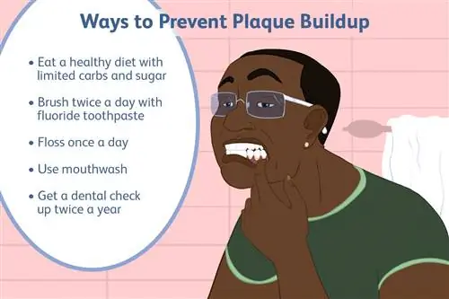 Способы предотвращения образования зубного налета - иллюстрация Лауры Портер