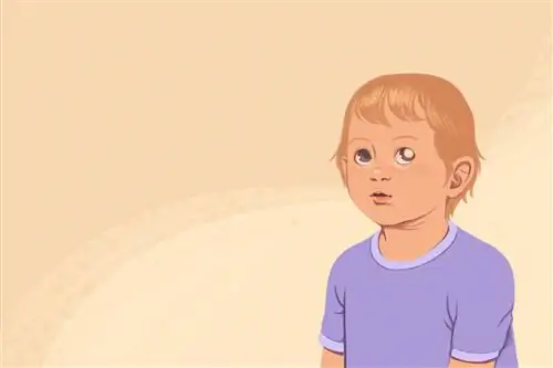 Ретинобластома: обзор и многое другое