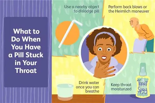Что делать, если в горле застряла таблетка - иллюстрация Эллен Линднер