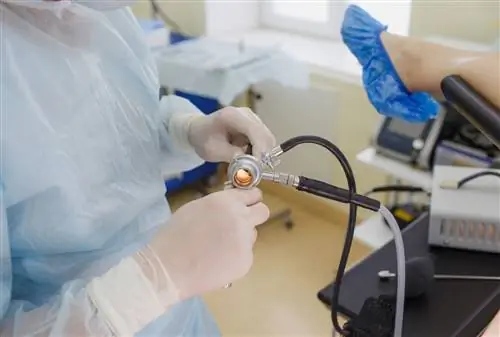 Что такое язвенный проктит?