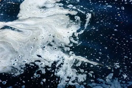 грязные химикаты на воде