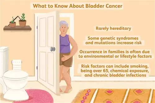 Что нужно знать о раке мочевого пузыря - иллюстрация Джессики Олах
