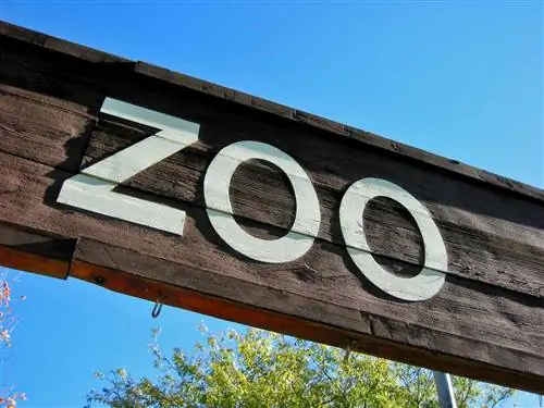 Что такое зоофобия?