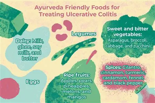 Дружественные продукты Аюрведы для лечения язвенного колита - Иллюстрация Нез Риаз