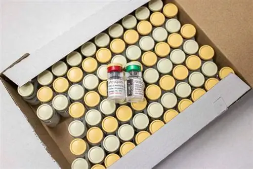 флаконы с вакциной против малярии флаконы с вакциной против малярии