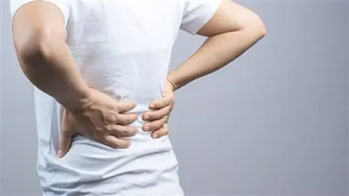 Боль в спине