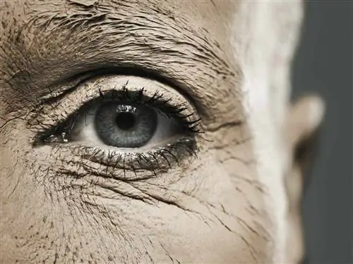 Связь между сухостью глаз и менопаузой