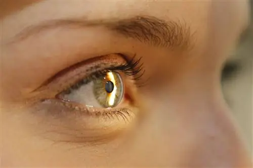 Как лечат диабетическую ретинопатию