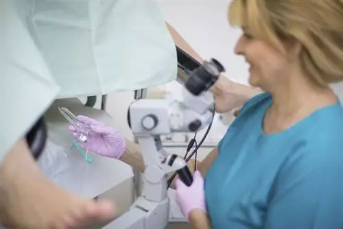 Признаки и симптомы цервикальной интраэпителиальной неоплазии