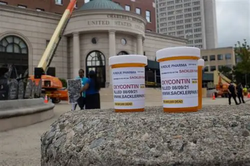 Эксперты выступают за более широкое использование академической медицины в профилактике передозировок