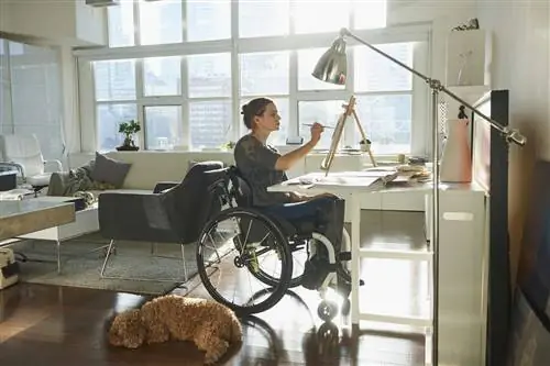 Кавказская женщина в инвалидной коляске рисует на мольберте - стоковое фото