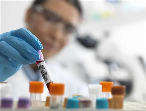 Использование культур для диагностики инфекционных заболеваний