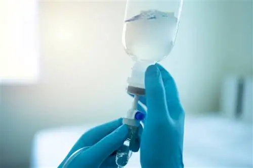 Как лечат тромбоцитопению