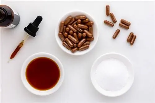 Капсулы, экстракт и порошок лапчатки