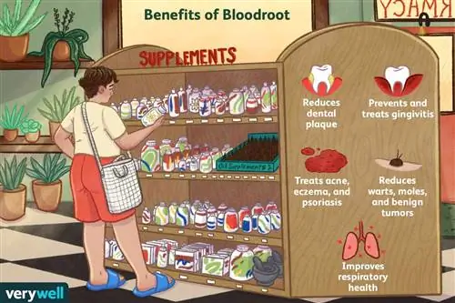 польза лапчатки