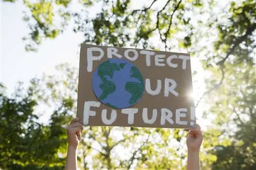 Поколение Z все больше беспокоится об изменении климата