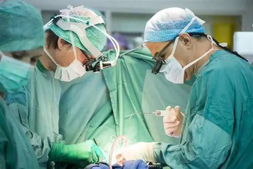 Кардиохирурги во время операции на сердце