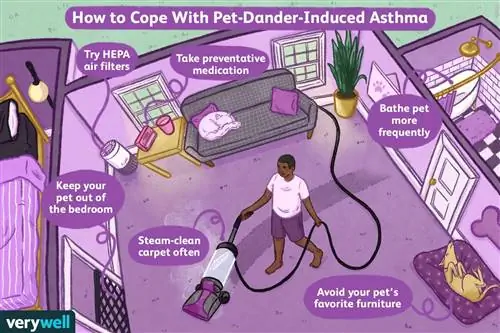 Как справиться с астмой, вызванной перхотью домашних животных