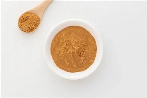 Катуаба порошок