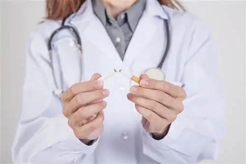 10 главных причин бросить курить, если у вас рак