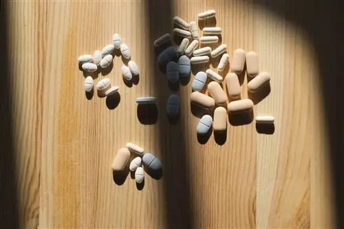 Постконтактная профилактика (ПКП)