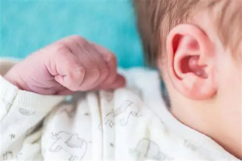 крупный план уха ребенка