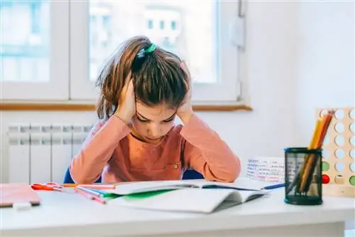 Новое исследование обнаруживает генетические различия у черных и белых детей с СДВГ