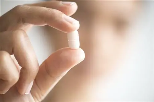 Что нужно знать о меглитинидах