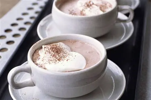 Голландский горячий шоколад в чашке чая