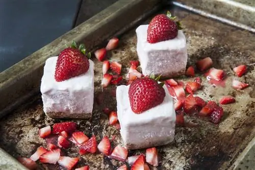 Клубничные закуски из замороженного йогурта с корочкой из крекера Грэма