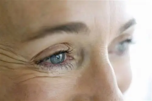 Крупный план глаз женщины