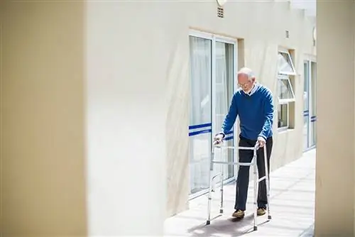 Особенности разных ходунков