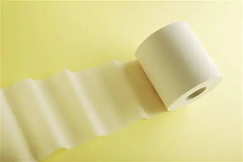 Недержание может быть проблемой при деменции