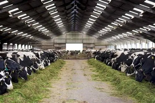 Справочник по инфекционным заболеваниям, передающимся через молоко