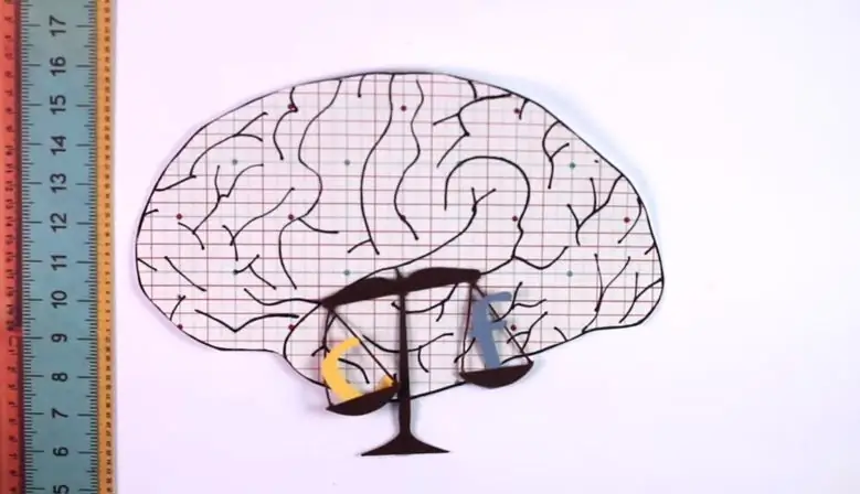 Есть ли эпоха, когда мы достигаем пика нашего интеллекта? [ВИДЕО]