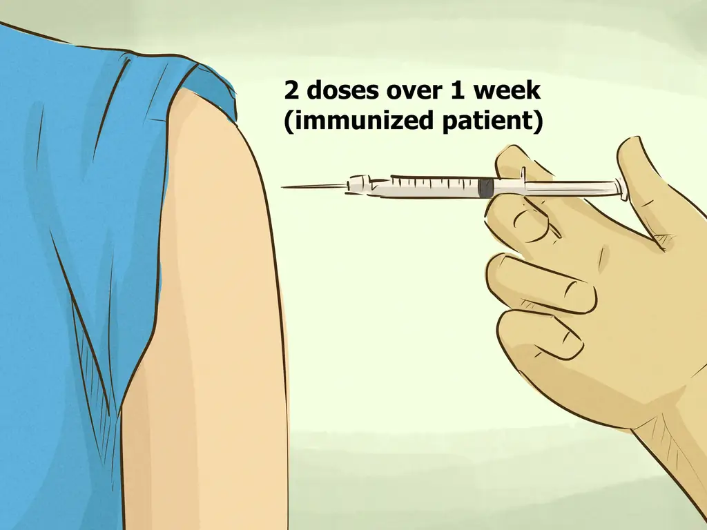 Как провести вакцинацию от бешенства: 14 шагов (с иллюстрациями)