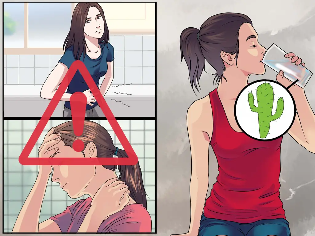 Как пить воду из кактуса для здоровья: 11 шагов (с иллюстрациями)