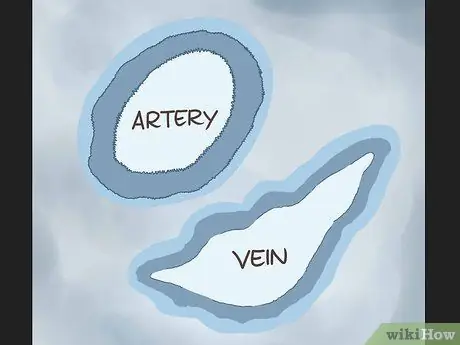 Определите разницу между артериями и венами Шаг 10