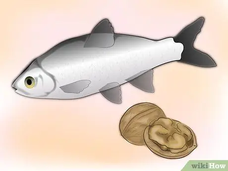 Предотвратить жирность волос Шаг 14