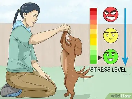 Остановите ноги от тряски Шаг 5